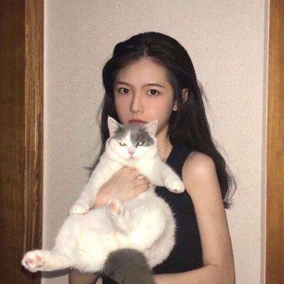 激战沙城手游果盘版下载